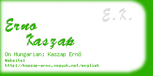 erno kaszap business card